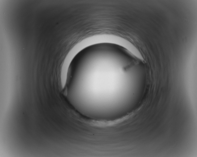 X0000083590037200703091729
