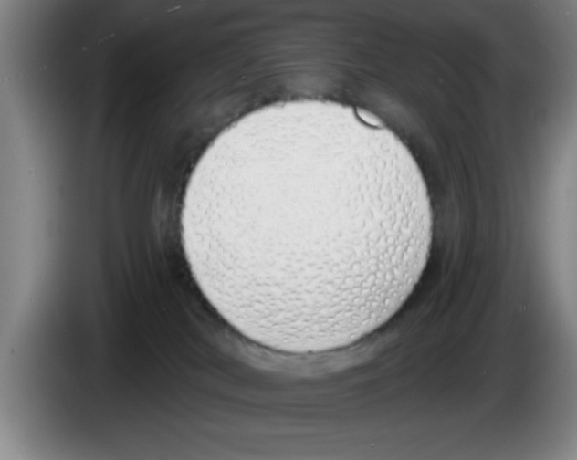 X0000083590038200703091729