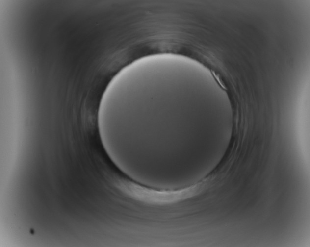 X0000083590039200703091729