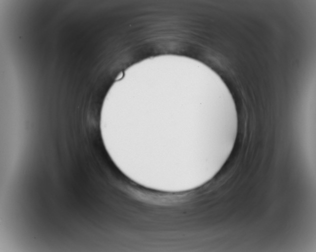 X0000083590040200703091729