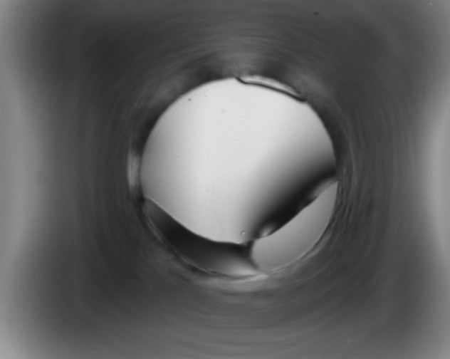 X0000083590041200703091729