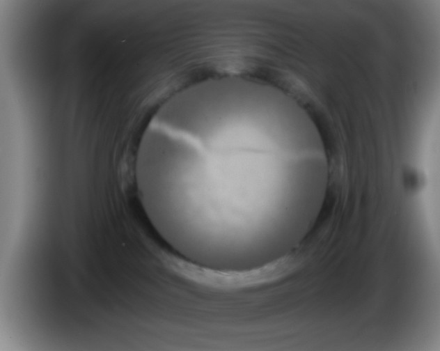 X0000083590043200703091729