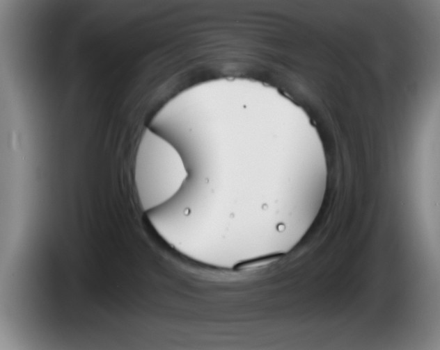 X0000083590044200703091729