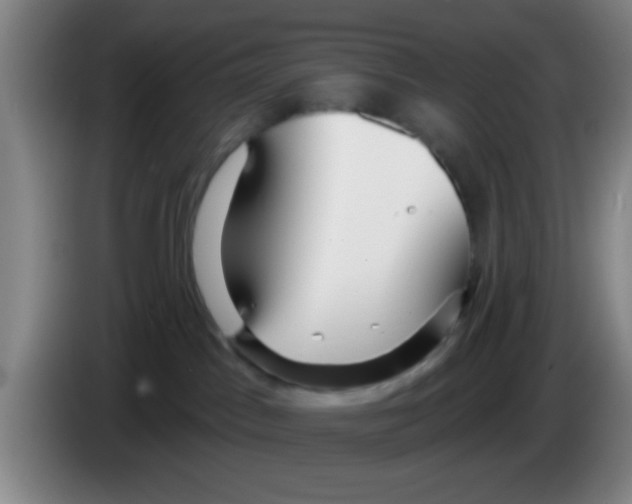 X0000083590045200703091729