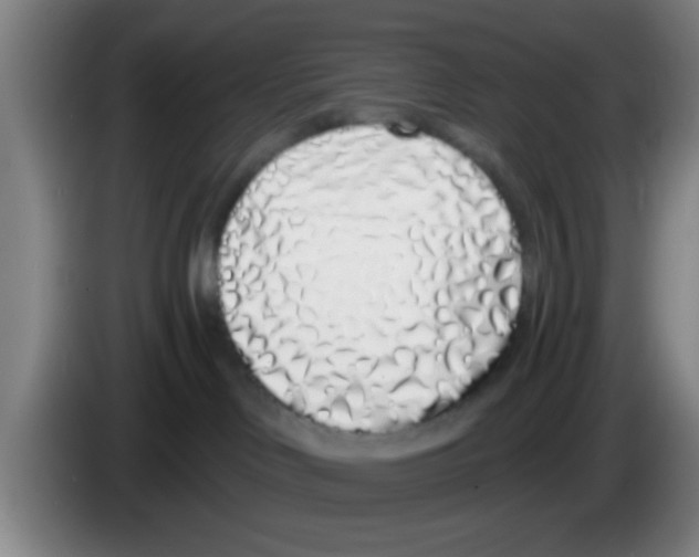 X0000083590046200703091729
