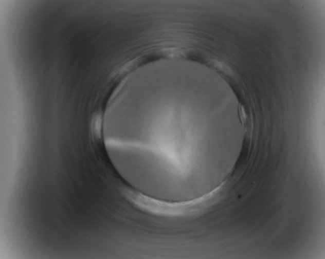 X0000083590047200703091729