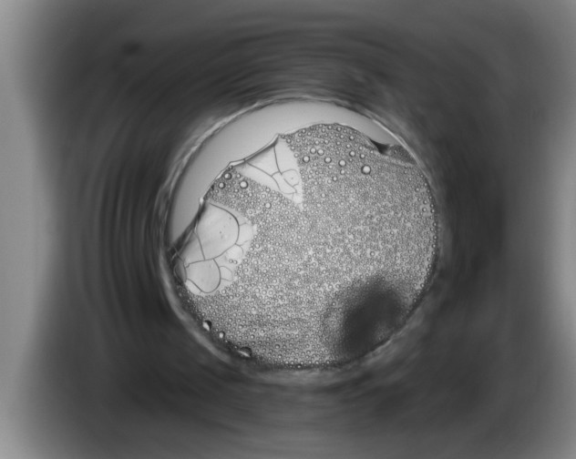 X0000083590049200703091728