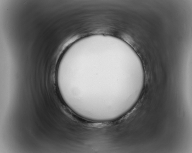 X0000083590050200703091728