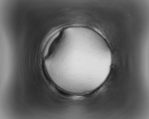 X0000083590055200703091728