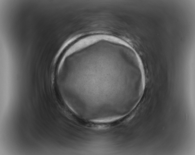 X0000083590056200703091728
