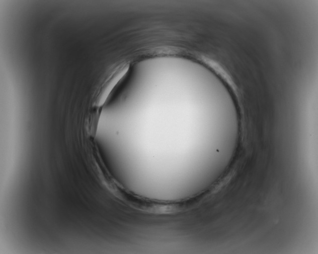 X0000083590057200703091728