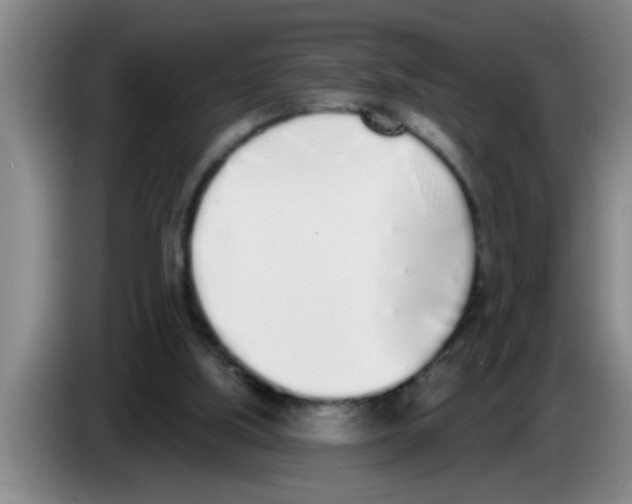 X0000083590059200703091728