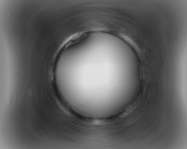 X0000083590060200703091728