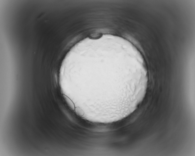 X0000083590061200703091728