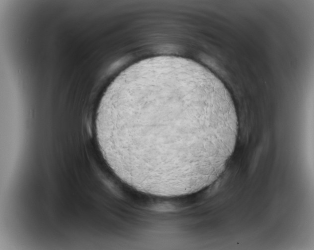 X0000083590062200703091728