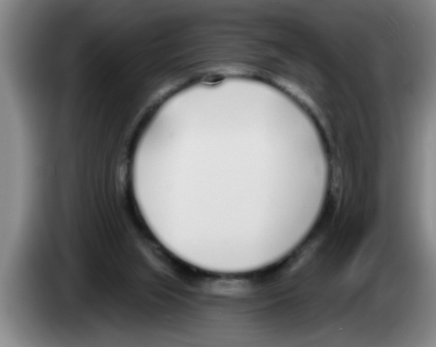 X0000083590063200703091728