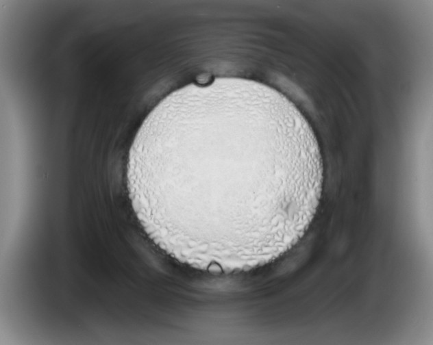 X0000083590065200703091728