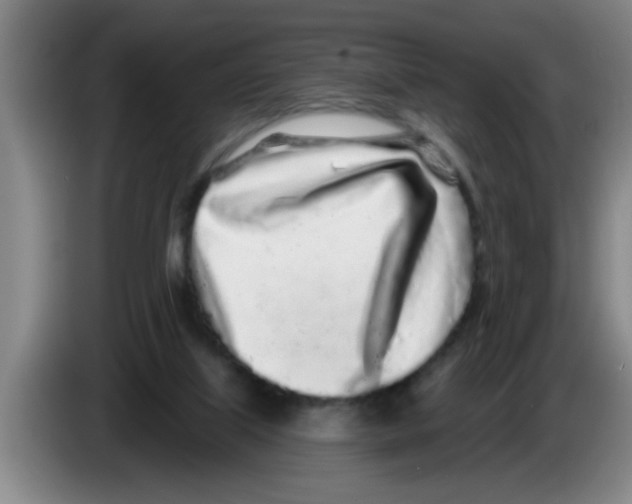 X0000083590067200703091728