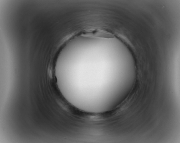 X0000083590068200703091728