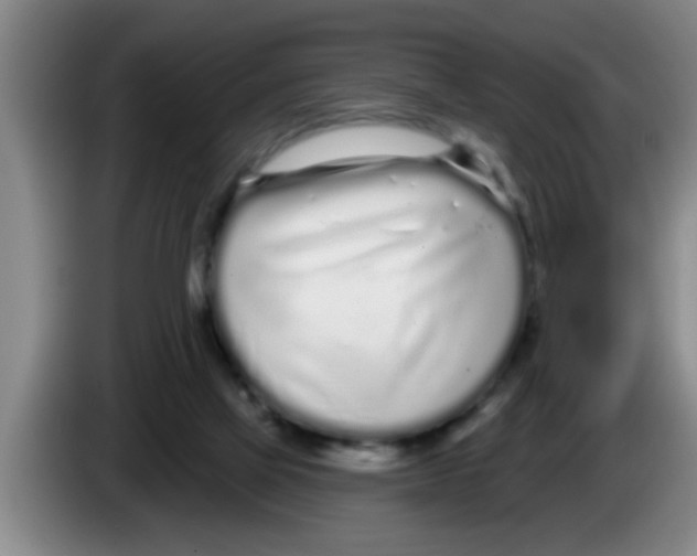 X0000083590069200703091728