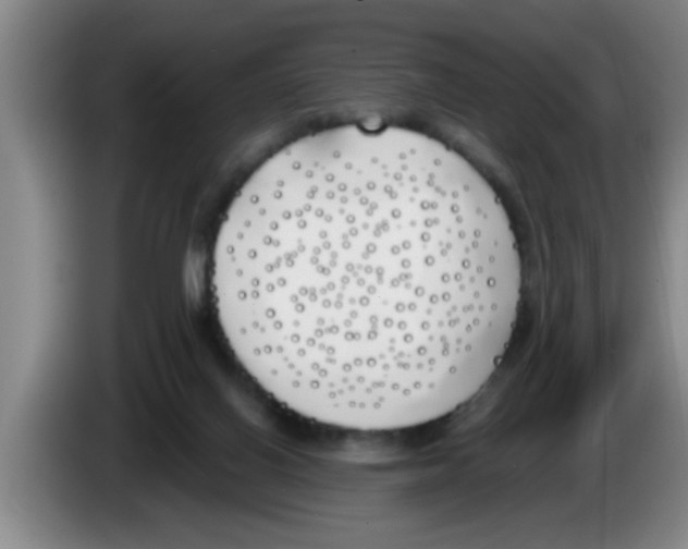 X0000083590070200703091728
