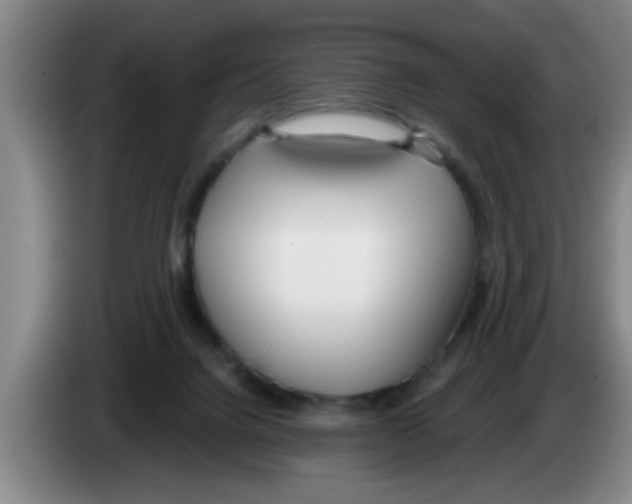 X0000083590072200703091728