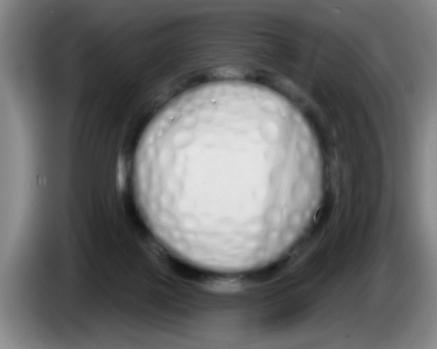 X0000083590075200703091728
