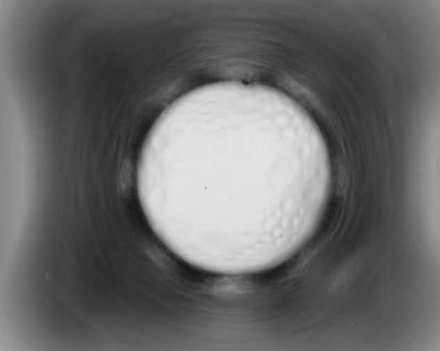 X0000083590077200703091729