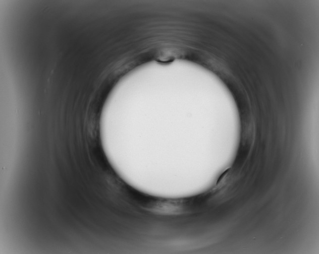 X0000083590078200703091729