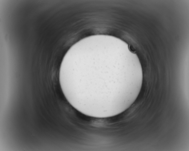 X0000083590079200703091729