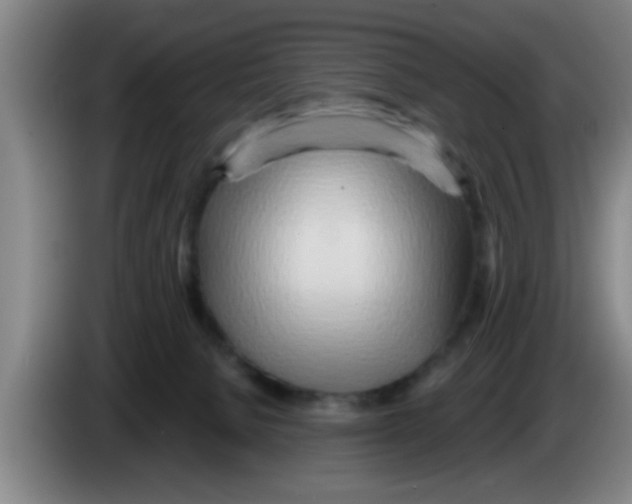 X0000083590080200703091729