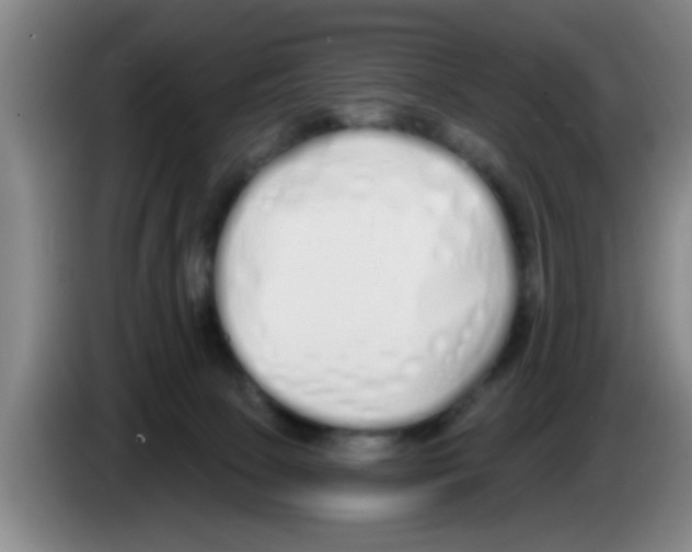 X0000083590081200703091729