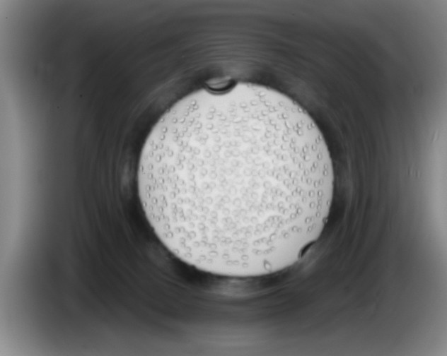 X0000083590082200703091729