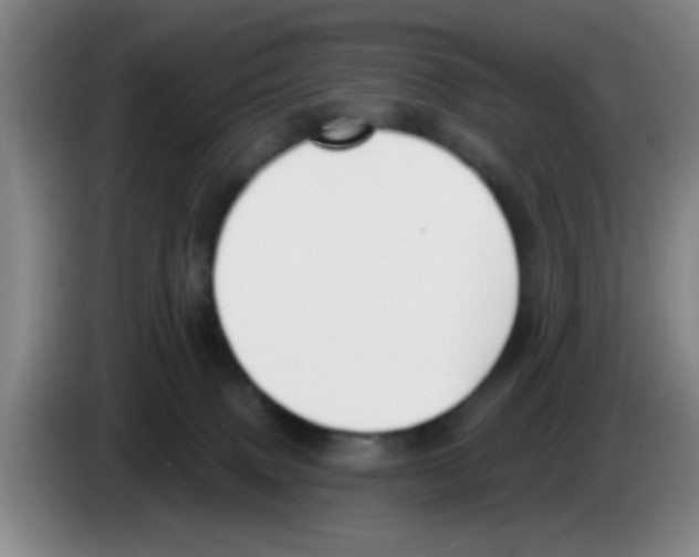 X0000083590083200703091729
