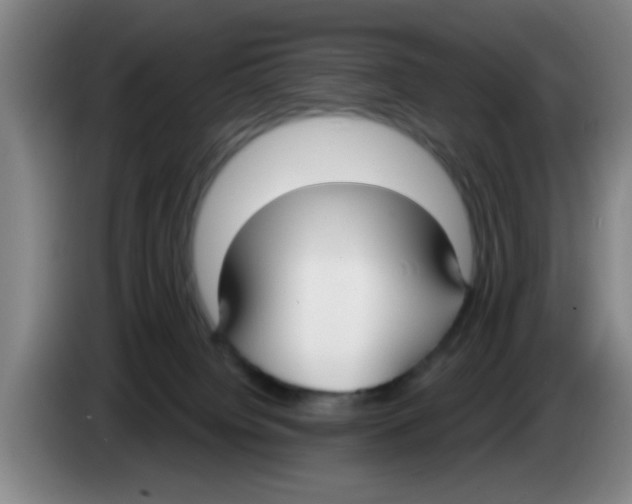 X0000083590084200703091729