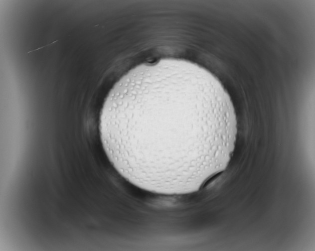 X0000083590086200703091729
