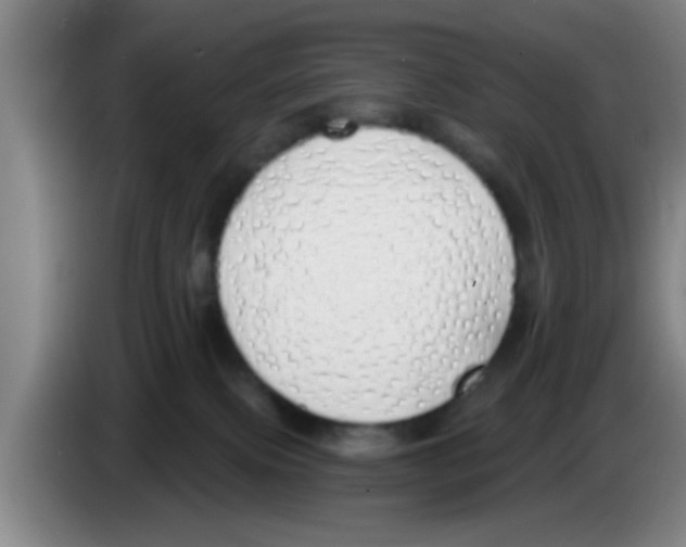 X0000083590087200703091729