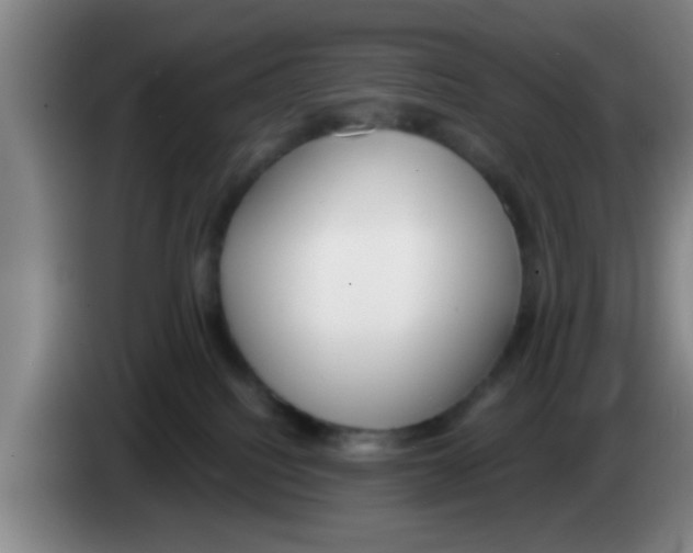 X0000083590088200703091729