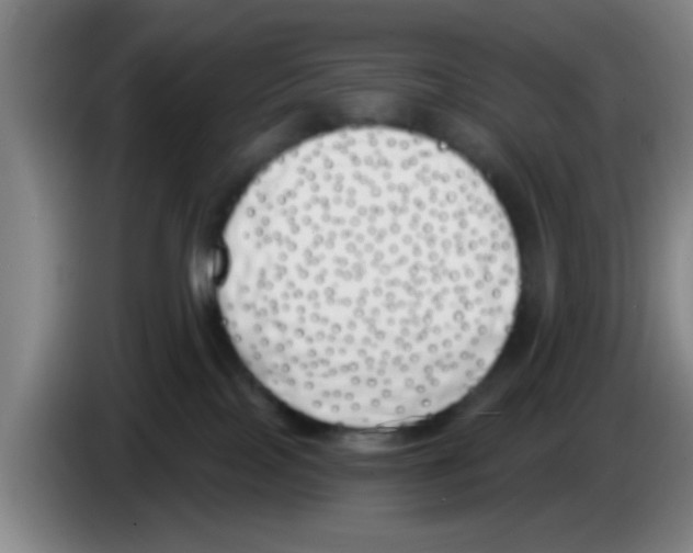 X0000083590089200703091729