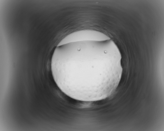 X0000083590090200703091729