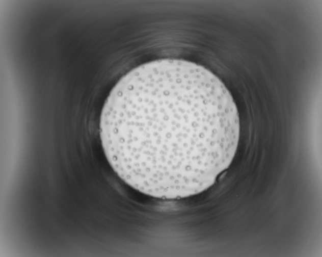 X0000083590091200703091729