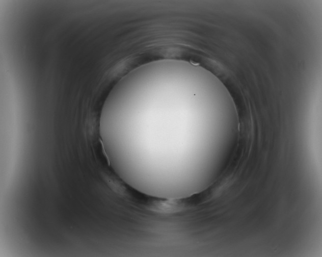 X0000083590092200703091729