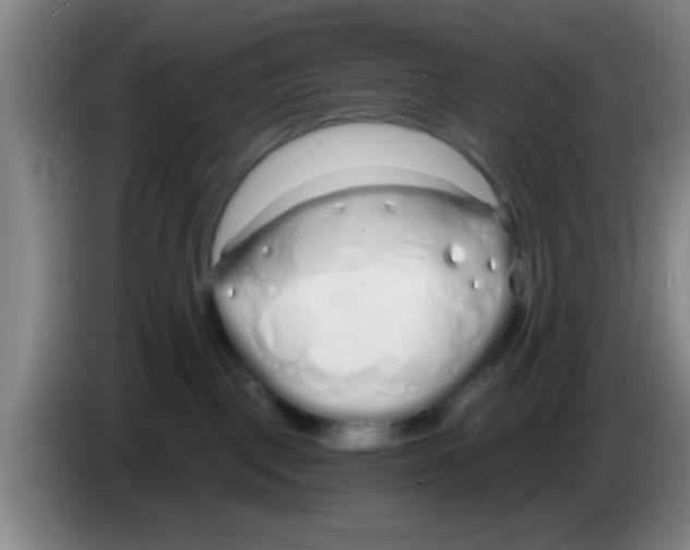 X0000083590093200703091729