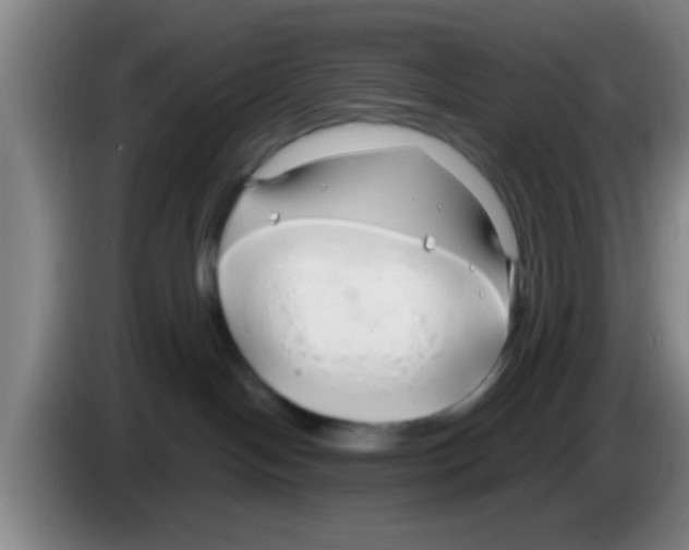 X0000083590094200703091729