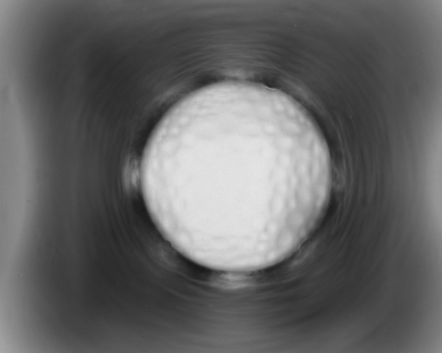 X0000083590095200703091729