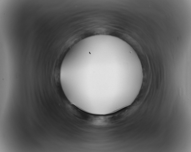 X0000083590096200703091729