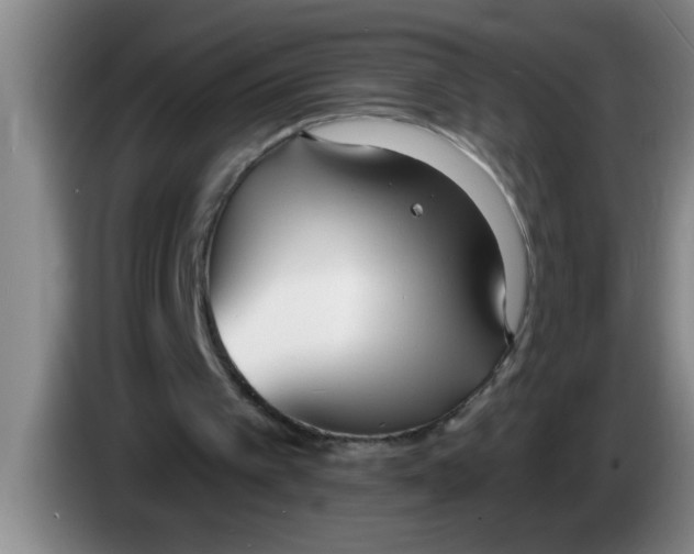 X0000083590097200703091728