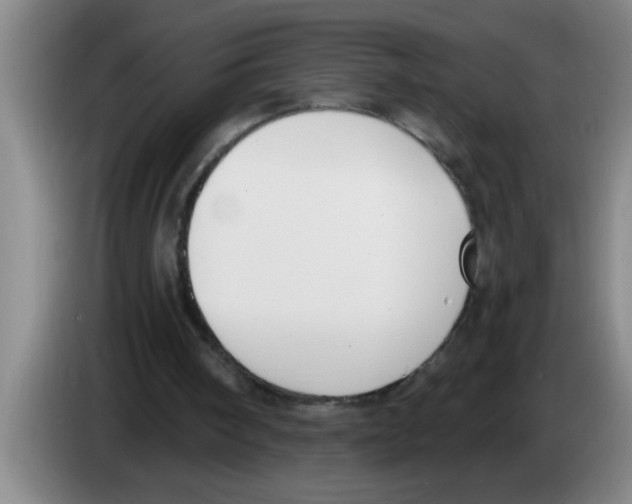 X0000083590098200703091728