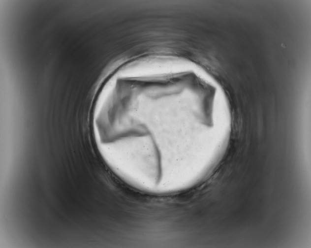 X0000083590099200703091728