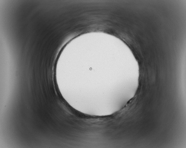 X0000083590100200703091728